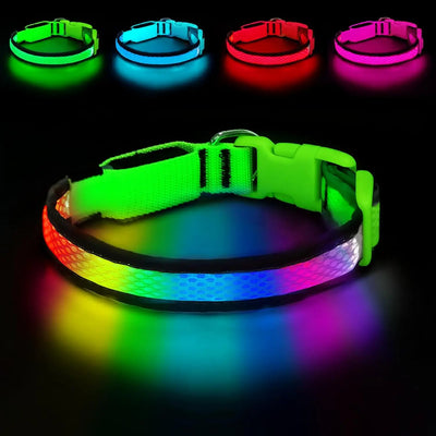 Collier LED Rechargeable Nylon Doux pour Chien