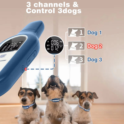 Collier Dressage 1000m Gros Chien Multi-Chiens