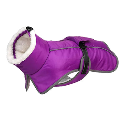 Manteau Hiver Réfléchissant Gros Chien Coupe-Vent