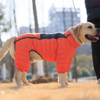 Manteau Doudoune Coton Gros Chien Hiver Coupe-Vent
