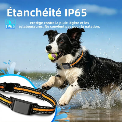 Collier GPS 4G Chien Clôture Virtuelle jusqu'à 54 kg