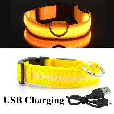 Collier Lumineux LED USB pour Chien