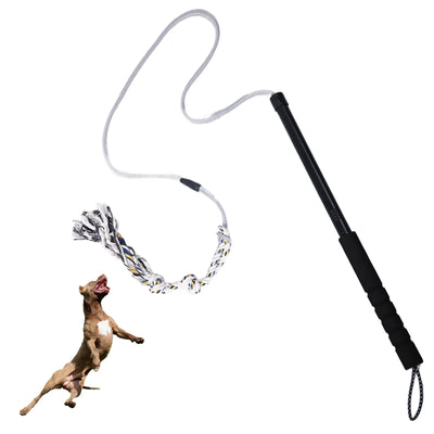 Flirt Pole pour Chien Perche 52 cm Corde 110 cm