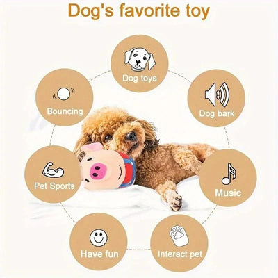 https://cdn.shopify.com/s/files/1/0489/2898/1148/files/S9f33457e410d417b869f316d4ed29affY.webp?v=1742978888