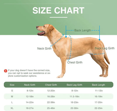 Attelle Dorsale Orthopédique Réglable pour Gros Chien