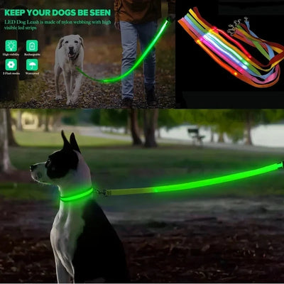 Laisse LED Corde Lumineuse pour Chien