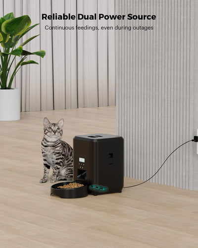 Distributeur de Croquettes Compact 2 L WiFi Programmable