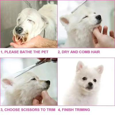 Ciseaux de Toilettage Chien Kit 3 Paires Peigne Bouts Ronds