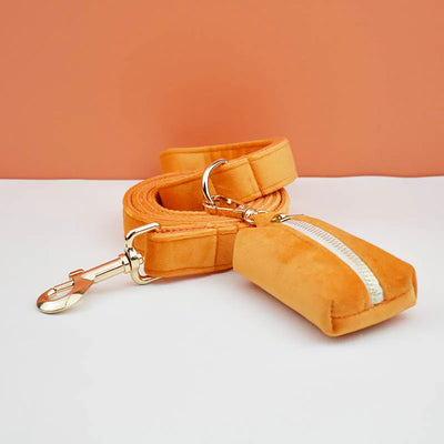 Collier et Laisse Velours Orange Personnalisé Chien