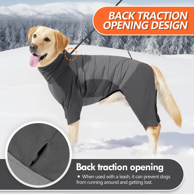 Manteau Hiver Col Roulé Gros Chien Combinaison Neige