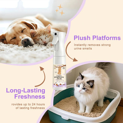 Spray Propreté Anti-Odeur Urine Chien aux Plantes 300 ml