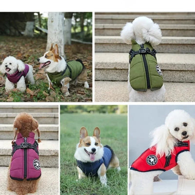 Manteau Imperméable Chien Doublé Polaire Grande Taille