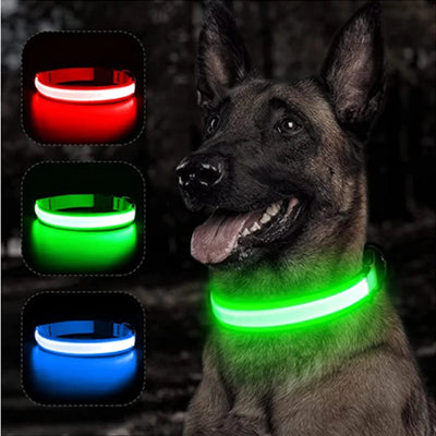 Collier Lumineux LED Rechargeable USB Nylon Grand Chien