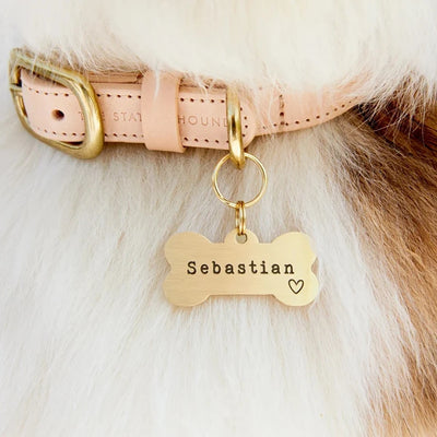 Médaille Gravée en Os Laiton et Acier pour Chien