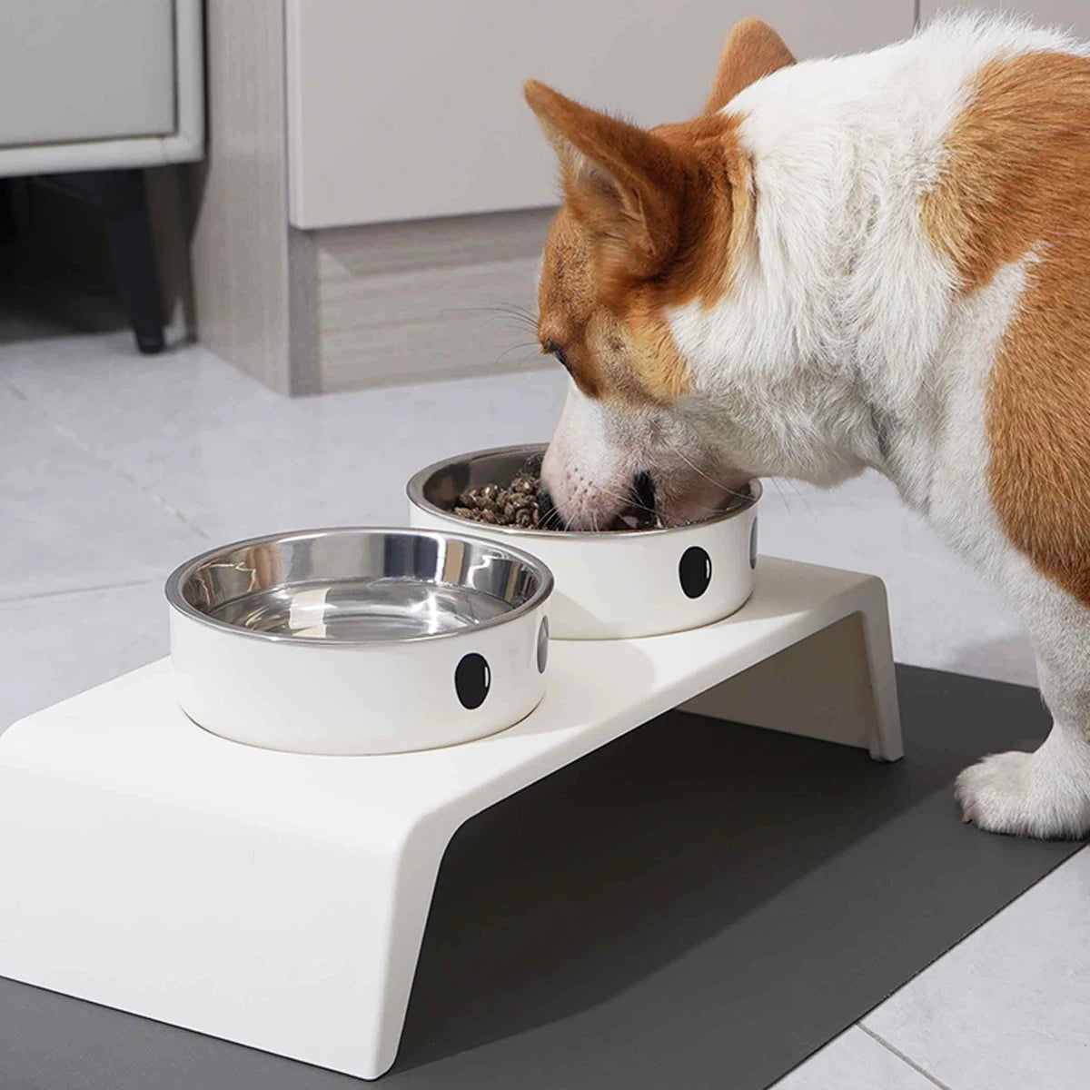 Gamelle Surélevée Petit Chien Chat Double Bol Socle Blanc