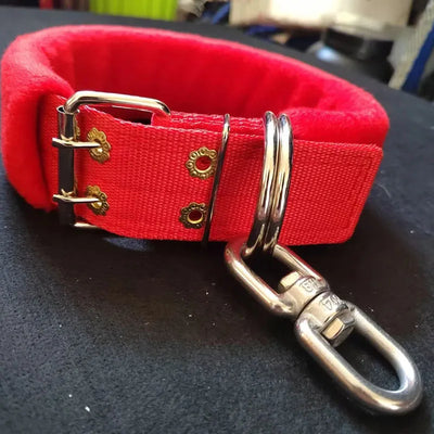 Collier Rembourré Anti-Torsion Anneau Pivotant Grand Chien