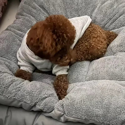 Panier Moelleux XXL Grand Chien