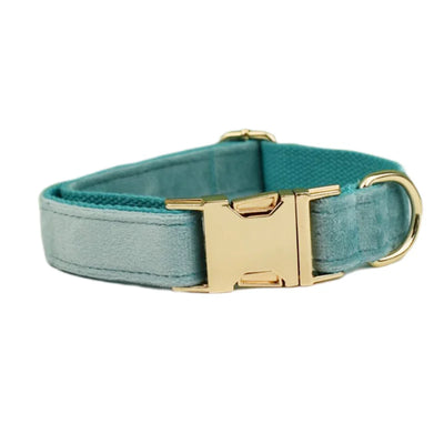 Collier et Laisse Velours Vert Plaque Gravée Chien