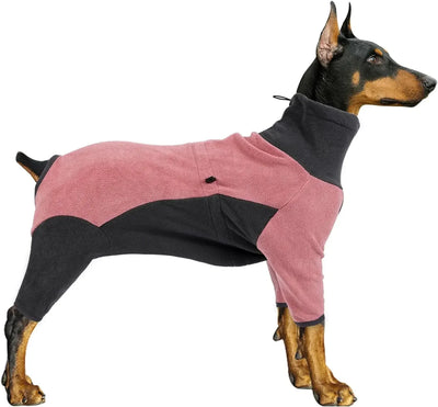 Pull Manteau Chaud Gros Chien Hiver