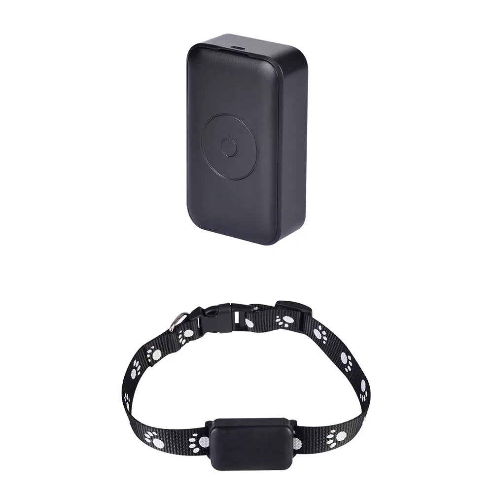 Collier GPS 2G Chien Carte Nano-SIM Boîtier Amovible