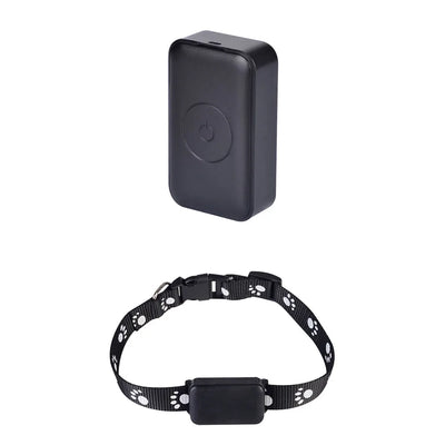 Collier GPS 2G Chien Carte Nano-SIM Boîtier Amovible