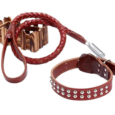 Collier Laisse Cuir Tressé Gros Chien