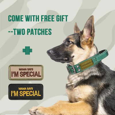 Collier Tactique Militaire Poignée Gros Chien