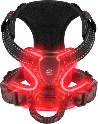 Harnais Lumineux LED Chien Sécurité Nocturne