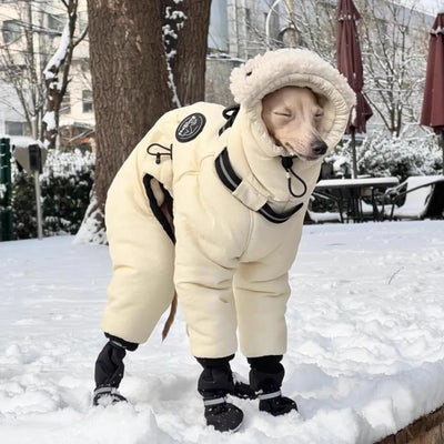 Manteau Chien Doudoune Combinaison Capuche Sherpa Lévrier