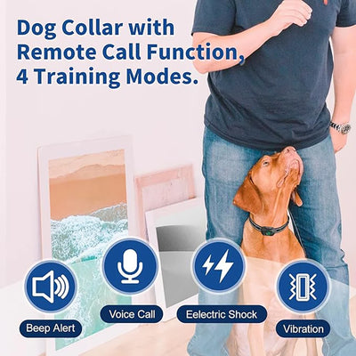 Collier Dressage Électrique Étanche Gros Chien