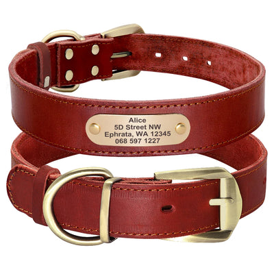 Collier Cuir Plaque d'Identification Gravée Chien Pitbull