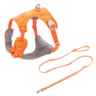Ensemble Harnais et Laisse Assortis Anti-Traction Chien