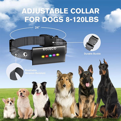Collier Dressage 1600ft IP67 Étanche Gros Chien