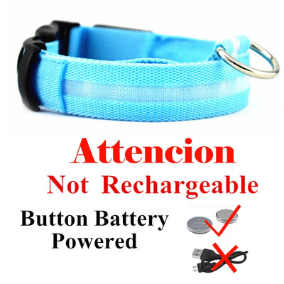 Collier Lumineux LED USB pour Chien