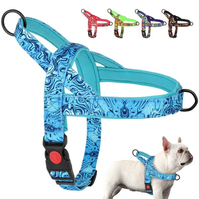 https://cdn.shopify.com/s/files/1/0489/2898/1148/files/Sa515b102102a47ae9d6ab2062eb42fbep.webp?v=1742985747
