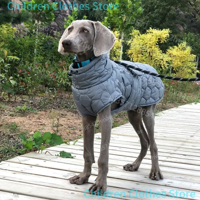 Manteau Épais Réfléchissant Doublé Polaire Lévrier Whippet