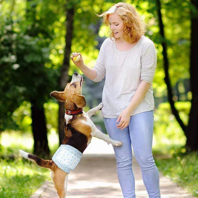 https://cdn.shopify.com/s/files/1/0489/2898/1148/files/Sa63abe45941e4f548974744ada1ec561C.webp?v=1773396038
