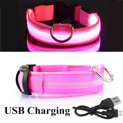 Collier Lumineux LED USB pour Chien