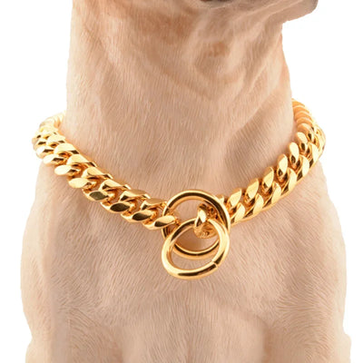 Collier Chaîne Gourmette Dorée Bouledogue Pitbull 25 à 76 cm