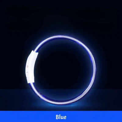Collier Lumineux LED Étanche 3 Modes Rechargeable Chien