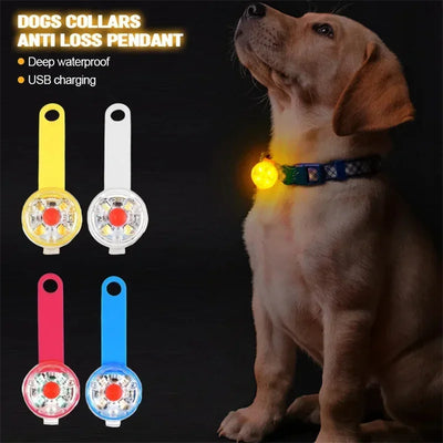 Pendentif Lumineux LED Rechargeable USB pour Collier de Chien