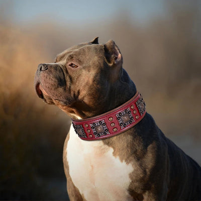 Collier Cuir Véritable Clouté Gros Chien Luxe