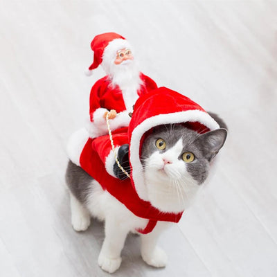 Costume de Fêtes de Noël pour Chien