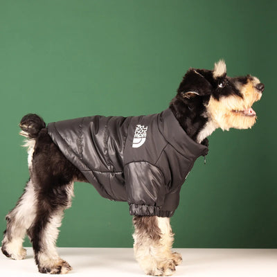 Veste Coupe-Vent Hiver Chaude Gros Chien