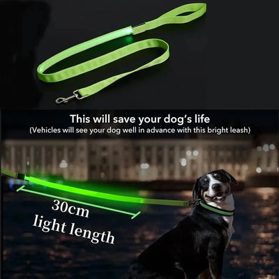 Laisse LED Corde Lumineuse pour Chien