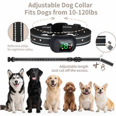 Collier Dressage Appel Vocal 4900ft Gros Chien