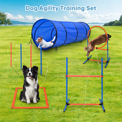 Set d'Obstacles Agility pour Chien avec Tunnel et Haie
