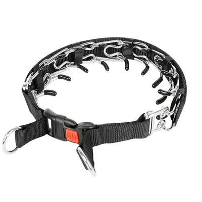 Collier à Pointes Éducation Boucle Rapide Nylon Chien