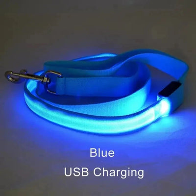 Laisse LED Corde Lumineuse pour Chien
