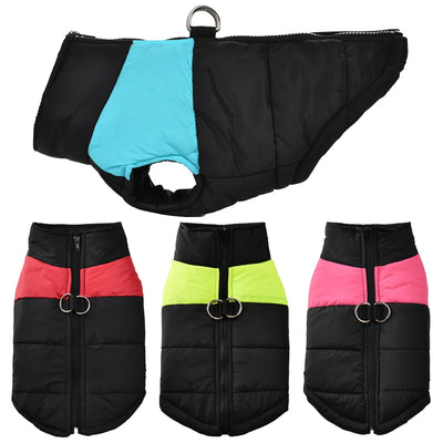 Manteau Automne Hiver Imperméable Chien Labrador